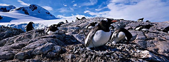 赤裸美女软件:未来赛车改造,极致机械美学竞速体验-3