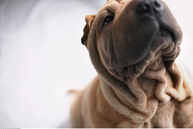 最高の爱人沼电影解说：竞速游戏情感叙事新突破，玩家手握方向盘落泪热议-4