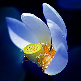 国产aⅤ：驾驭国产引擎，征服中华赛道，体验极速崛起之旅