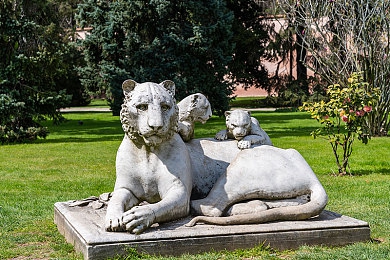 王者荣耀女英雄无爱心图片公:冷峻锋刃,战场玫瑰的战术美学解析-2