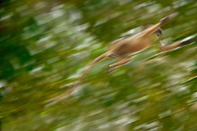 把筷子沾蒜汁放屁怎么回事视频:厨房奇械狂飙,荒诞物理学的味蕾盛宴-4
