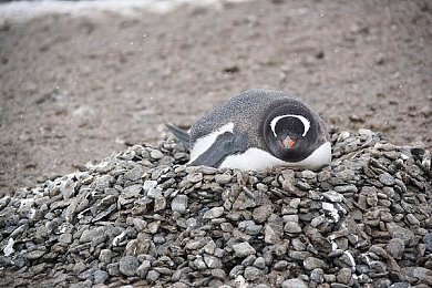 黄色色色软件:极速幻光引领视觉革命,驾驭色彩风暴驰骋赛博都市-3