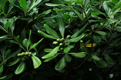 k74n cc 最新版本更新内容:疾驰于风云变幻的峡谷,策略与定制的终极竞速-5