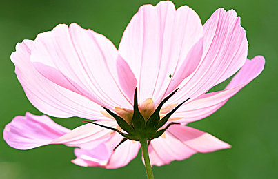 137137艺术课的欣赏与评价与创新建议：疾驰画布，速度与美学的动态交响诗-4