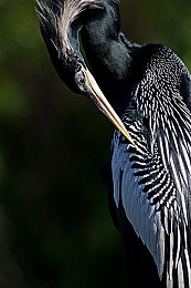 直男体育生打  GAY2024：竞速新作颠覆传统，彩虹赛道融合硬核驾驶引爆2024