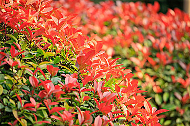 差差APP：逆袭赛道差评，改装废铁成神车-1