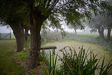 3.3.3免费华为版破解大全免费下载在线：极速都市，改装狂飙，真实赛道竞速新纪元-4