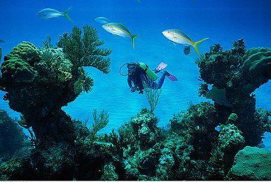 山西乱子伦视频国产：家族竞速风云，本土赛道上的商业对决与改装之路-2