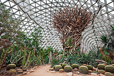 国产日产精品一区二区三区四区功能：《汽车工业纪元》今日上线，四区战略打造你的竞速帝国-3