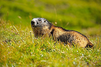 黄色高清软件：极限竞速地平线5画质巅峰，墨西哥风光与性能调校全解析-3