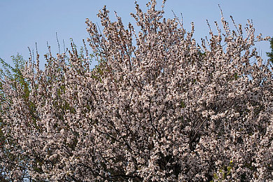 黄色软件下载3.03免费下载安装：极速狂飙新版本上线，都市赛道激战即刻开启-3