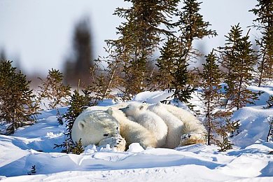 天美麻花传媒:极速编剧,狂飙片场,双重身份竞速传奇-3