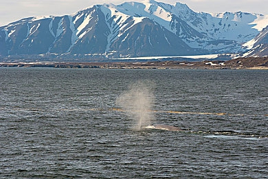 一个好妈妈4字中字头强华驿头图片：极速守护者温情上线，驾驶竞速中体验母爱的终极旅程-3