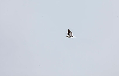 男人和女人一起睡觉的APP：双人协作夜路求生，交替驾驶共迎黎明-3