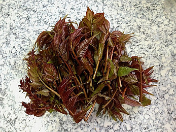 二次元本子：2023幻想竞速新作上线，个性化涂装系统引领玩家创作风潮-5