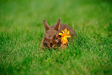 男女差差差差差差差：赛车游戏操作差异引热议，最新研究揭示不同性别玩家驾驶策略-3