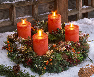 黄.404：在遗失代码的荒原追寻极速回响