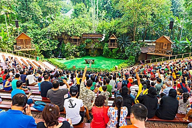 十大黄APP：竞速游戏黄金时代来临，这些高能作品点燃你的驾驶激情-5