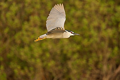 按摩高潮：指尖感知赛道脉搏，沉浸驾驶新纪元开启-5