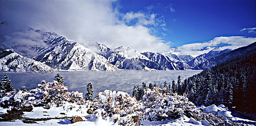 LGBT黄网:极限竞速地平线5,自由改装与多元表达的数字舞台-4