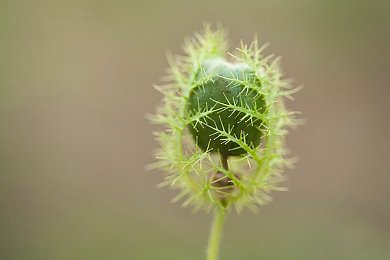 男人来桶：硬核驾驶新作颠覆性物理引擎，体验驯服钢铁猛兽的操控革命-3