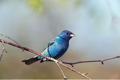国产AV色情片：国产竞速新作引爆热议，极致视觉与真实驾驶体验完美融合-4