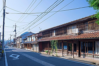 女人与公猪做爱性交：驾驭狂野，与原始地形共舞的极限越野挑战-4