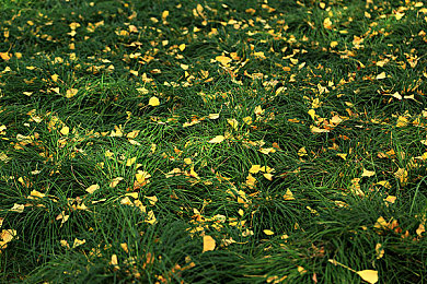 男生的坤坤放入女生的坤坤里:当意识与钢铁交织,共赴极速羁绊的协同纪元-2