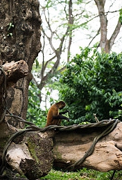 黄软件导航：探索墨西哥秘境，解锁地平线5稀有创意涂装全攻略-4