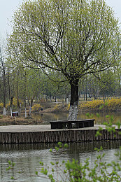 世上最不得安人IIII：引擎低语与永夜追猎之旅-3