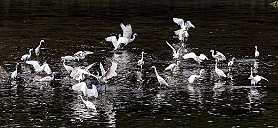 37西方大但人文艺术：极速穿越艺术史，动态赛道名画中狂飙竞速新游今日上线-2