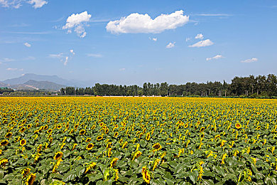 福利视频app:极限驾驶,每一帧都是你的速度进化论-2