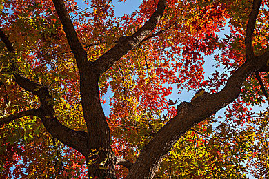 国产乱伦乱伦：家族暗战，极速狂飙，轩辕家族赛车内斗震撼开启-3