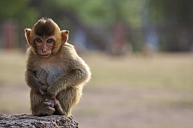 男人透女人软件：《极速情缘》今日上线，情感透析系统颠覆传统赛车玩法
