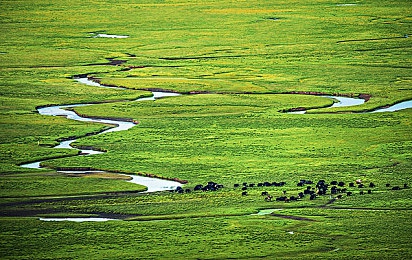 XDEVIOS中文免费版破解版：未来科技赛车新作，体验人工智能驾驶伙伴的极速挑战-2