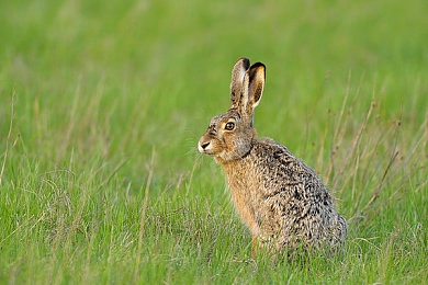 2023年黄色软件网站大全：极速驾驶新纪元，沉浸体验赛道激情-1