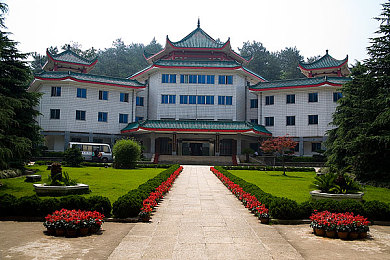 黄色软件oPPo下载：霓虹光影间，驾驭未来座驾的街头传奇之旅-3