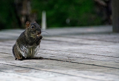 黄色软件下载OPPO大全：霓虹幻影，极速定制，专属座驾征服未来都市-2