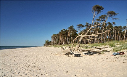 麻豆传媒天美视频：虚拟偶像跨界极速狂飙，全新竞速游戏引爆养成新纪元