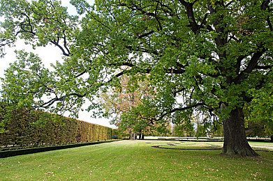 黄色APP3.3：霓虹雨夜，像素狂飙，复古未来竞速幻想曲-2