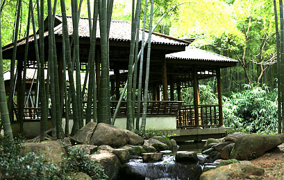 男同打飞机网站：冲破天际的竞技场，深度改装与团队空战的终极对决-3