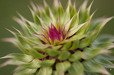 男男双龙Gay无套Gay无套：极速羁绊，悬崖共舞的信任协奏-4