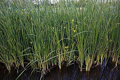 今日看料美好生活从今开始看见更大:驰骋墨西哥开放世界,感受极限竞速的自由与壮丽-3