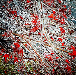 美女不穿衣服APP：极速幻影自定义系统上线，打造你的专属赛车艺术-2