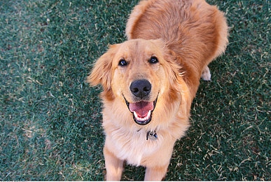 天天干天天干天天射：竞速射击新作颠覆传统，双操系统开启赛道对决新纪元-3
