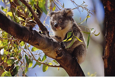 麻豆国产电影：虚拟影城狂飙今日上线，国产电影主题开放世界竞速游戏引爆跨界新潮流