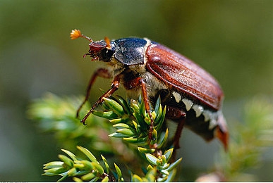 少妇被按摩师做爰高潮：极速调校艺术，人车合一巅峰驾驶体验-2