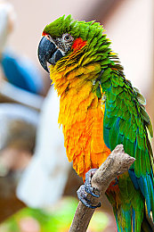 男男Ggy 到爽 网站：极速心跳，征服每一条赛道的巅峰快感之旅-2