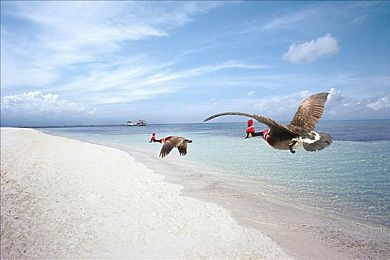 91天美：第九艺术新标杆，赛车改装与美学融合的沉浸之旅今日开启-2