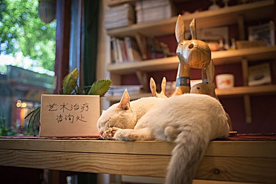 干逼app：极速车间，街头性能的艺术革命-2